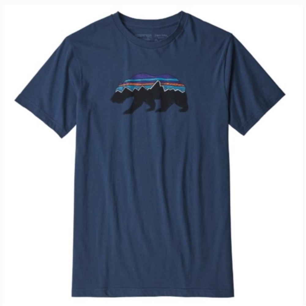 Men’s Large Slim Fit Patagonia T Shirt